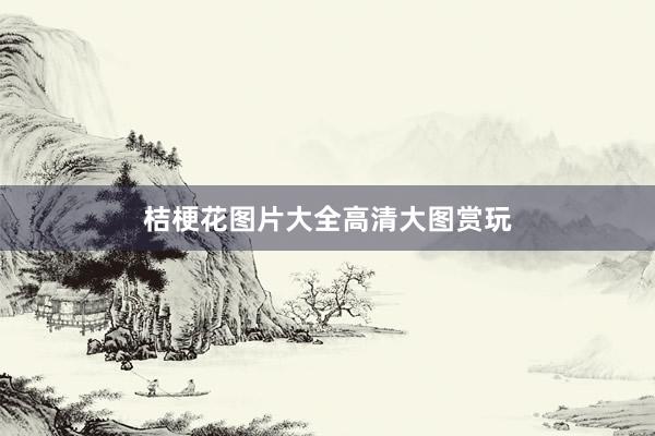 桔梗花图片大全高清大图赏玩