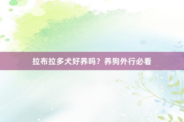 拉布拉多犬好养吗？养狗外行必看