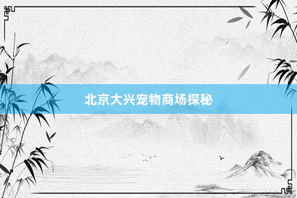 北京大兴宠物商场探秘