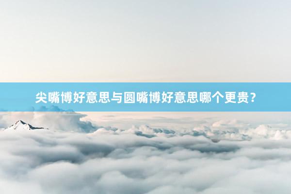 尖嘴博好意思与圆嘴博好意思哪个更贵？